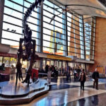 Science Museum of Minnesota