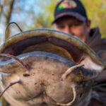 3 Rivers Fishing Adventures