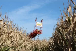 Severs-Corn-Maze-Shakopee-Minnesota-1024x683