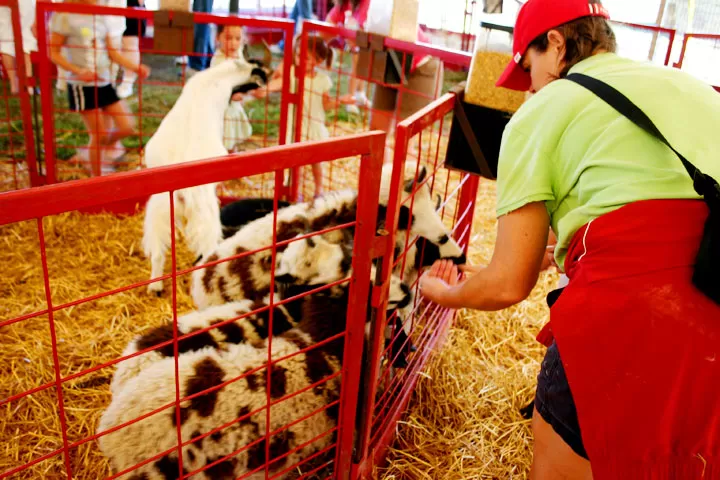 Severs-Corn-Maze-in-Shakopee-Minnesota-10