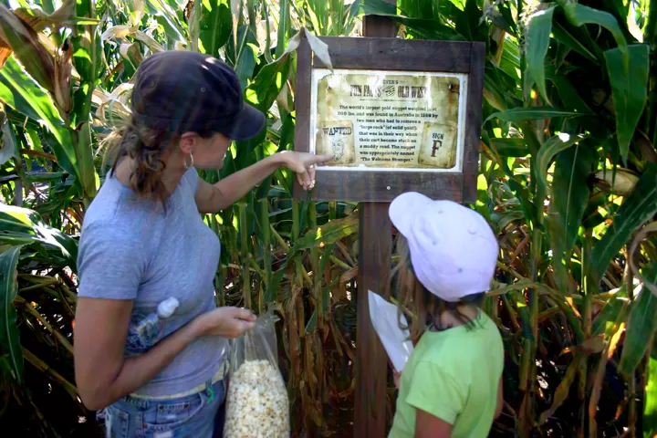 Severs-Corn-Maze-in-Shakopee-Minnesota-14