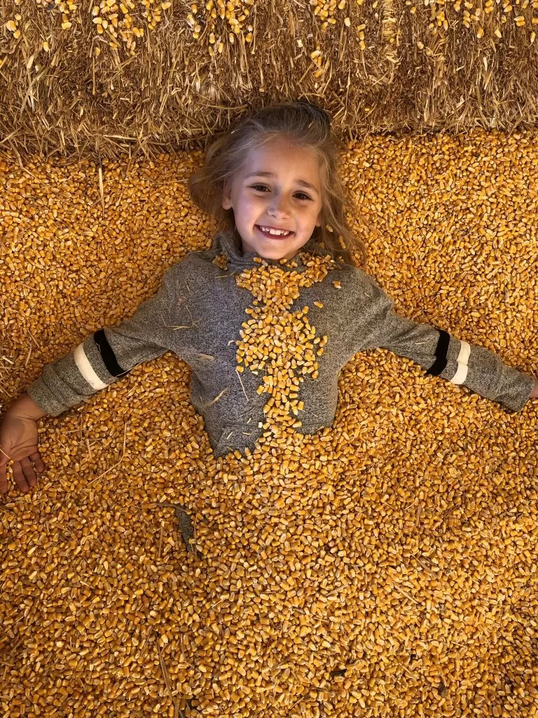 Severs-Fall-Festival-Shakopee-Minnesota-1-768x1024