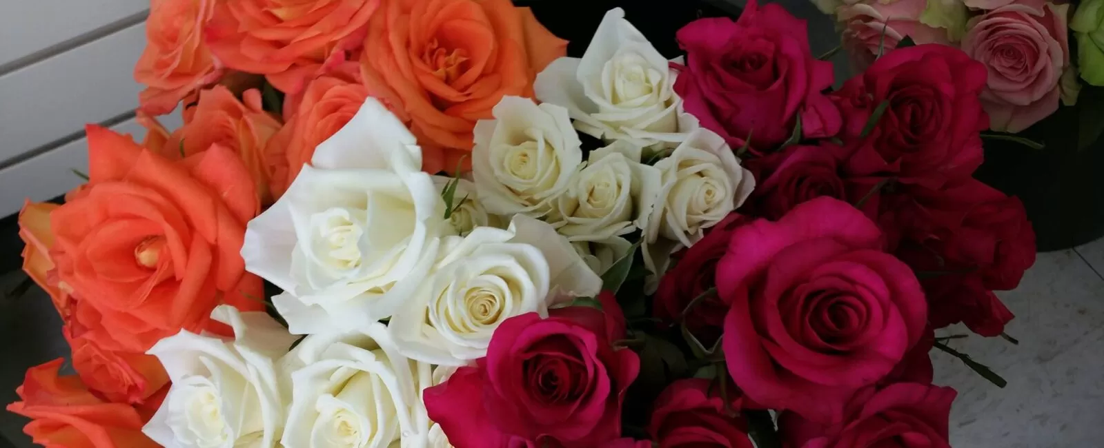 ShakopeeFlorist