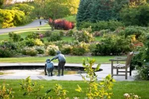 Shrub-Rose-Garden_Mark_MacLennan-Photo-2-1024x680