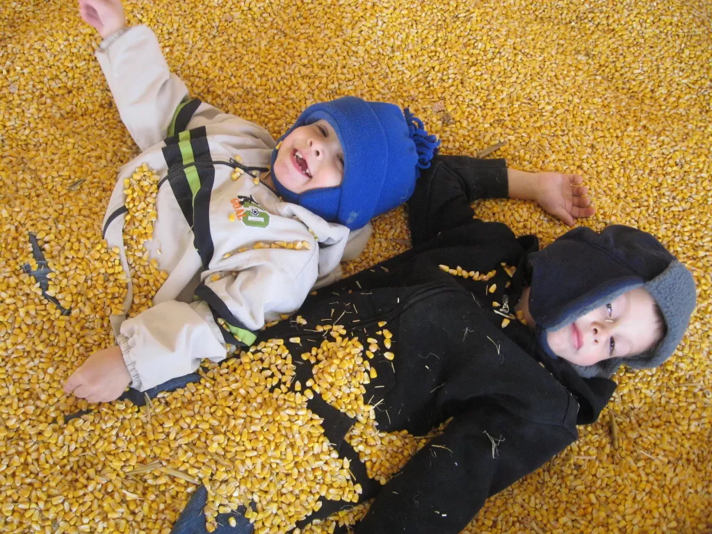 corn-maze-etc.-009-1024x768