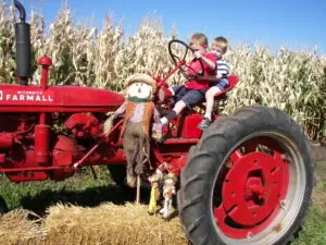 severs-corn-maze-2007-088-1024x768