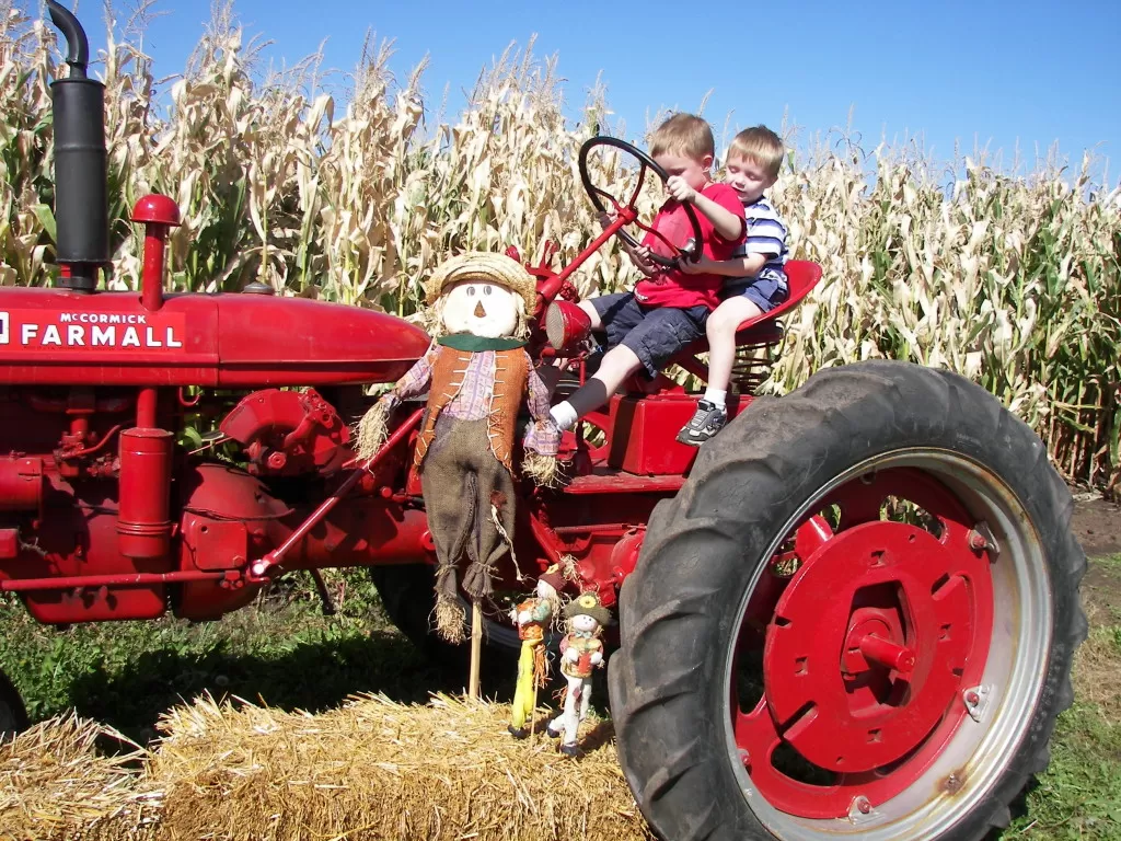 severs-corn-maze-2007-088-1024x768