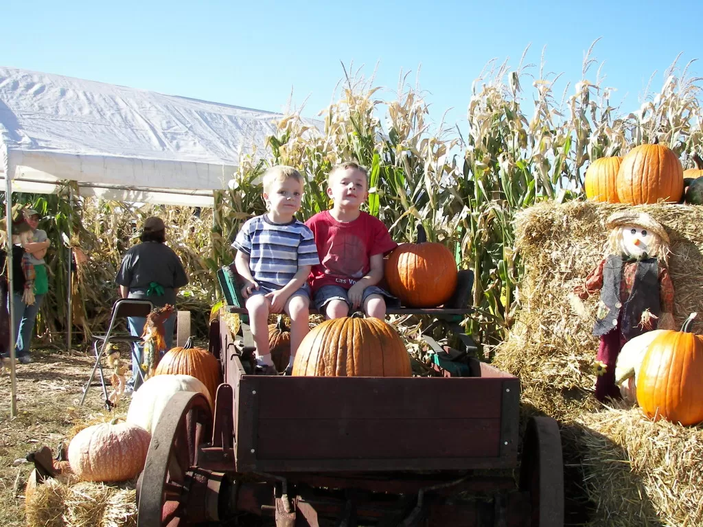 severs-corn-maze-2007-132-1024x768