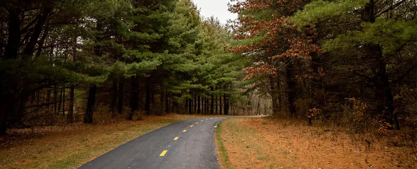 Cleary - Late Fall - Trail