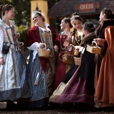 Minnesota Renaissance Festival - Did you know Bold North Vikings