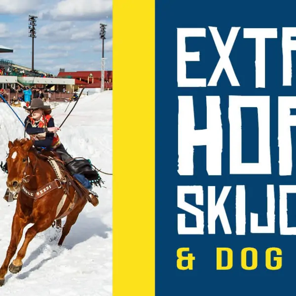 Extreme Horse Skijoring & Winter Dog Races